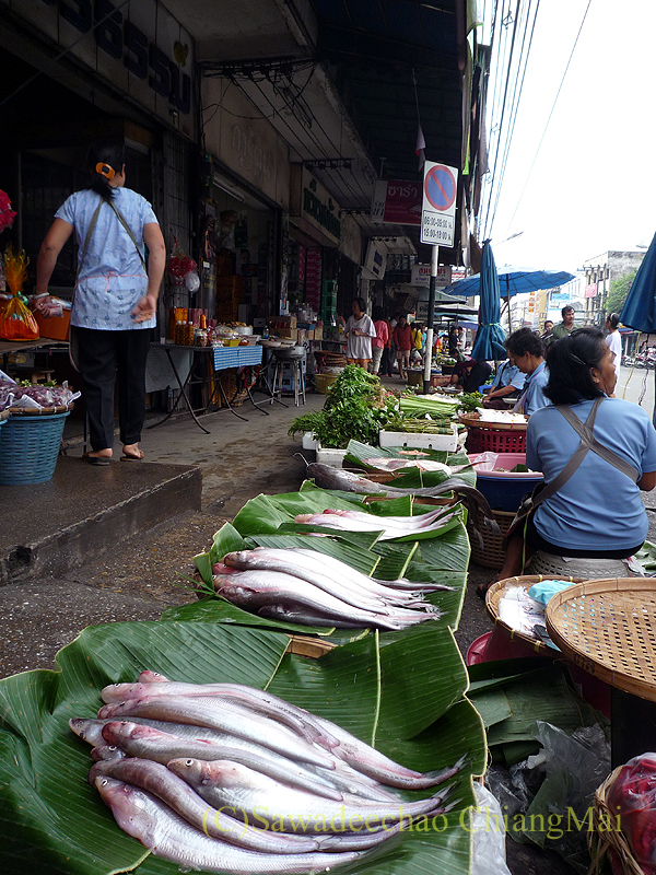 チェンマイのチャーンプアック市場の魚屋