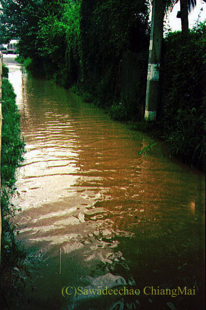 1994年の大洪水の時のチェンマイの路地