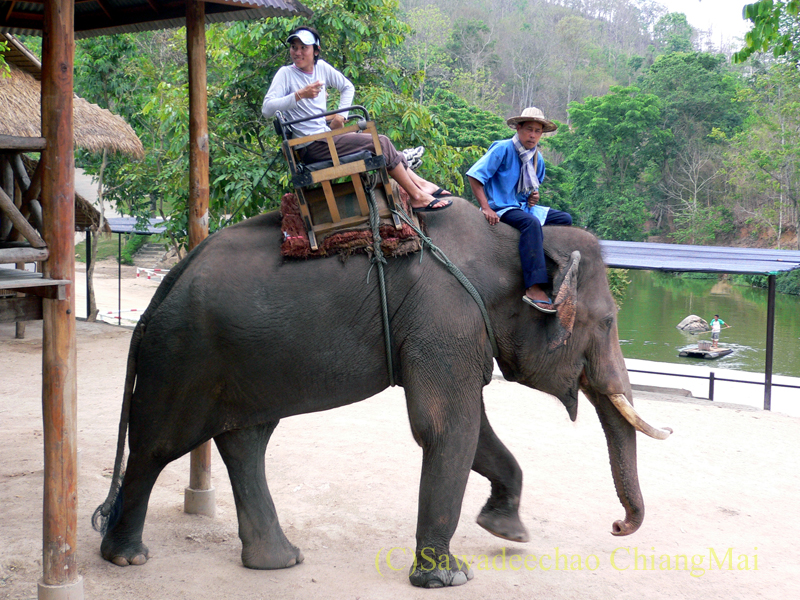 タイのラムパーンにある国立象保護センターのエレファントライディング