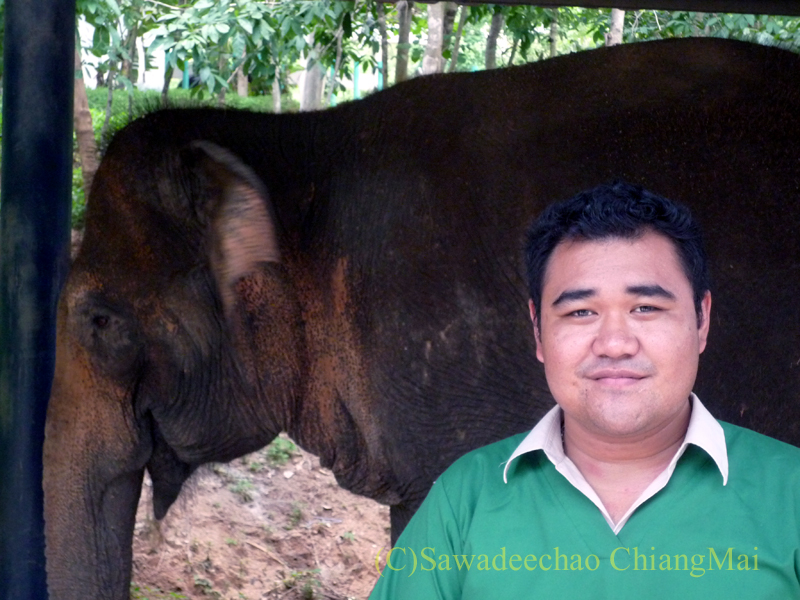 タイのラムパーンにある国立象保護センターの象病院の医師