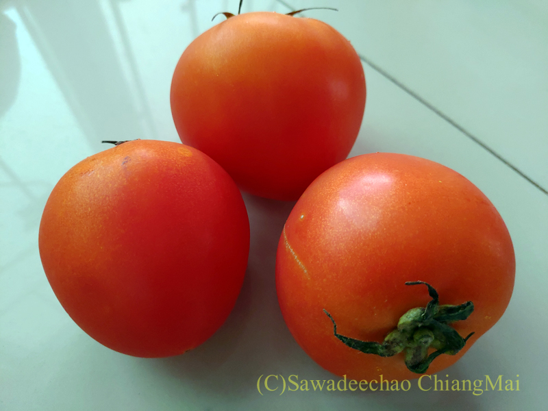 チェンマイのロイヤルプロジェクトショップで購入したトマト