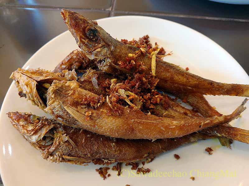 チェンマイの食堂カーオホームゲーンタイの魚の素揚げ