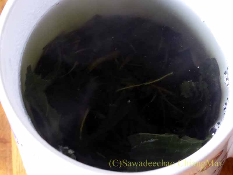 カップで淹れたチェンマイで購入した桑の葉茶