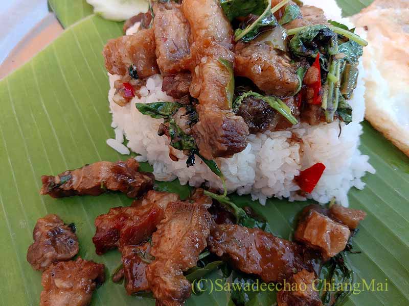 チェンマイにあるトゥクソムガパオタートの豚バラ肉揚げガパオライス