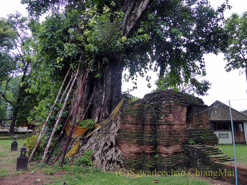 タイ最北部チェンセーンの寺院遺跡ワットプラタートチェディルアン