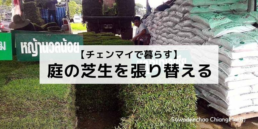 タイのチェンマイで暮らしている自宅の一軒家の庭の芝生を張り替えた