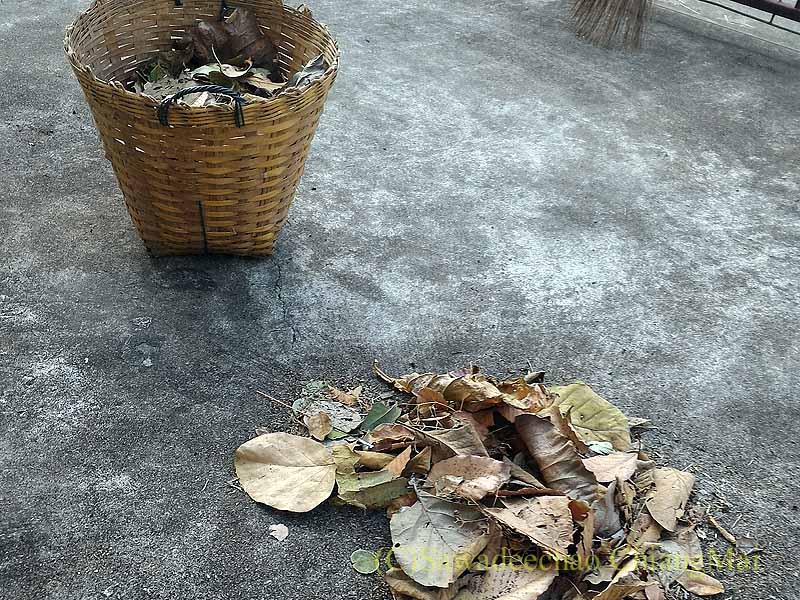 チェンマイの自宅のガレージに降って来た落ち葉を集める