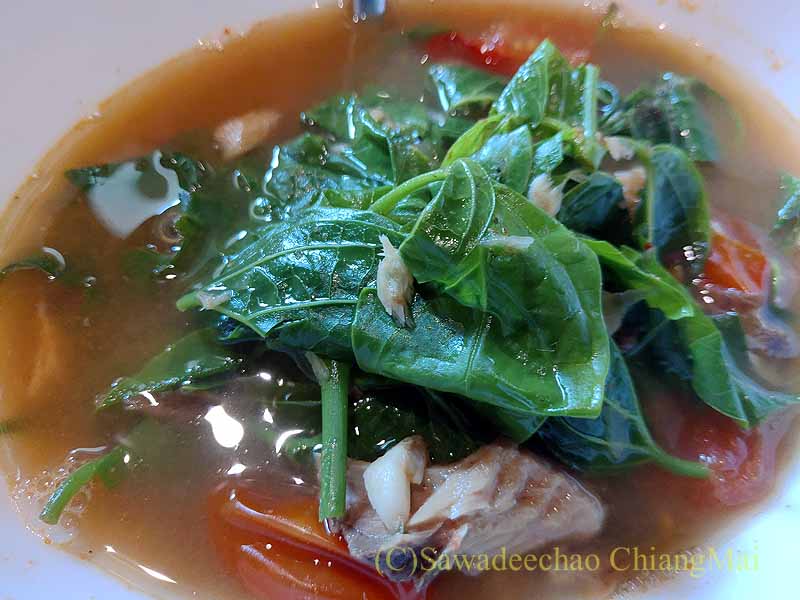 チェンマイの北タイ料理レストラン「チュム」のゲーンパクチェンダー