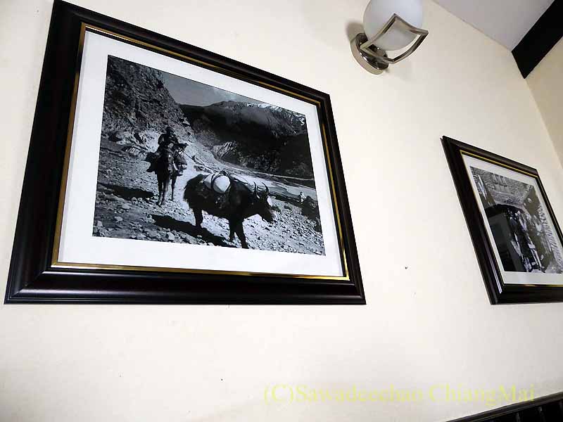 カトマンズのジムブータカリレストランの壁の写真