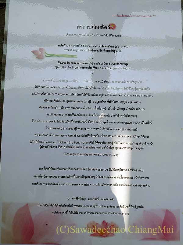 チェンマイのワットチャイモンコンの放生用の祈祷文