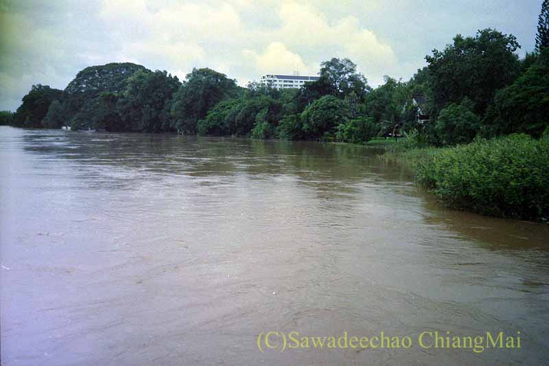 1994年の大洪水寸前のピン川川岸