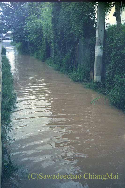 1994年の大洪水のチェンマイ市内の路地