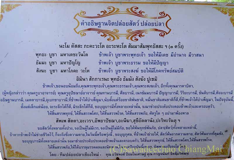 チェンマイの寺院ワットチャイモンコンの放生の経文