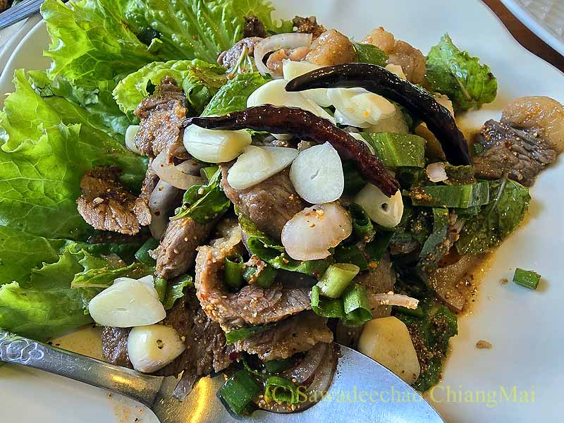 ウィーララープペットのムーナムトック