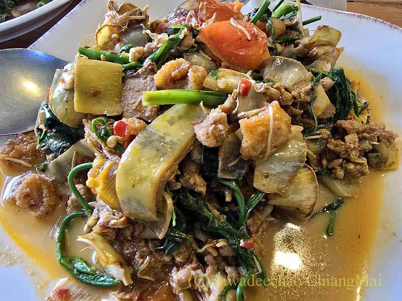 ウィーララープペットのクアフワプリー