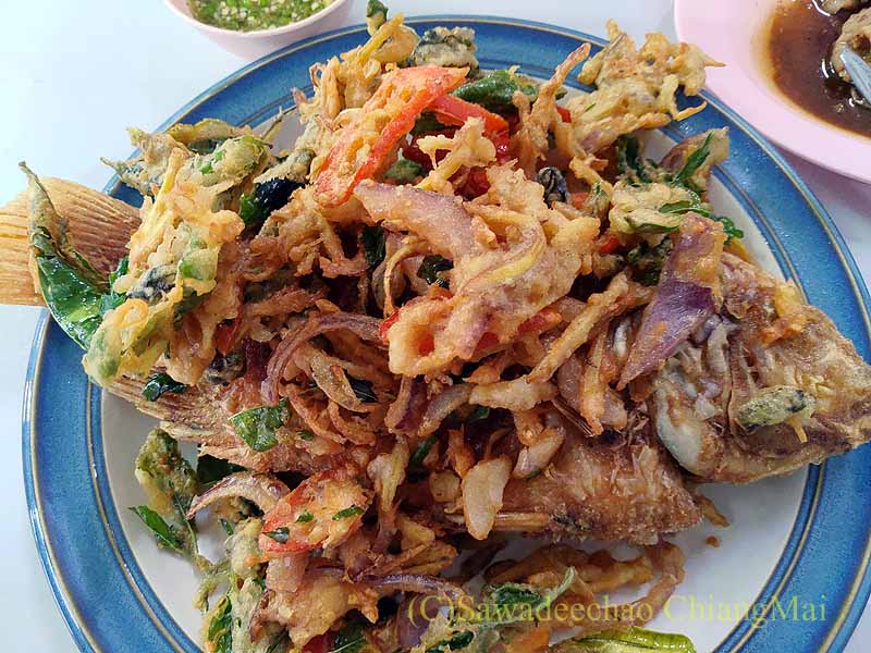 チェンマイの大衆中華ティパロット(味露飯店)の魚のハーブ揚げ