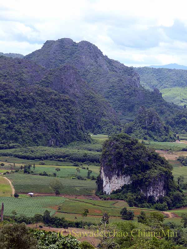 マジックマウンテン