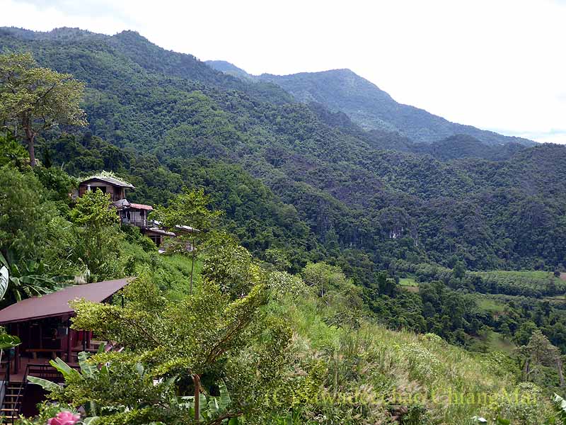 マジックマウンテン