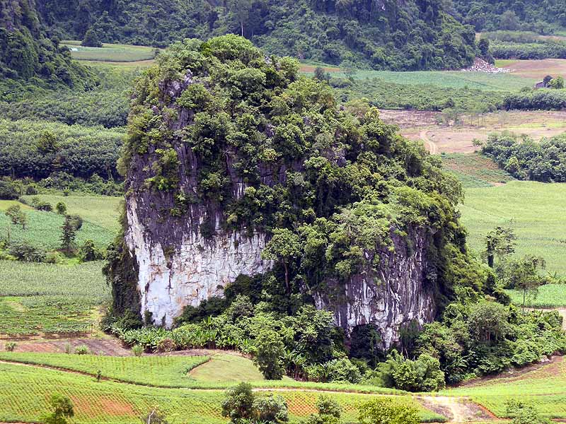 マジックマウンテン