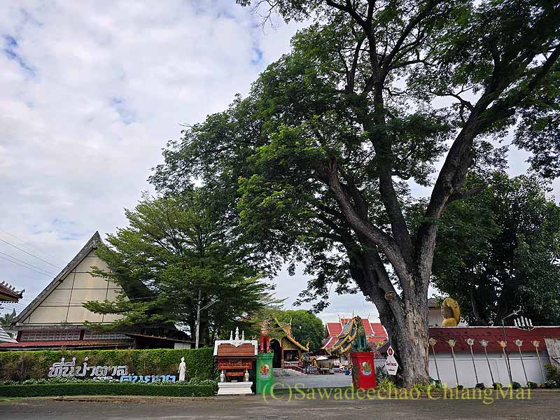 ワットパーターンの駐車場