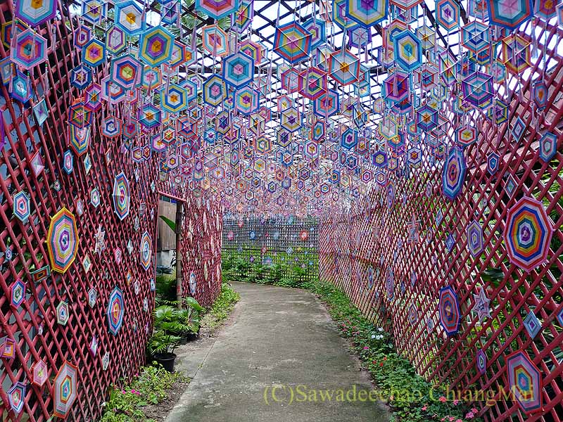 ワットパーターンの小道