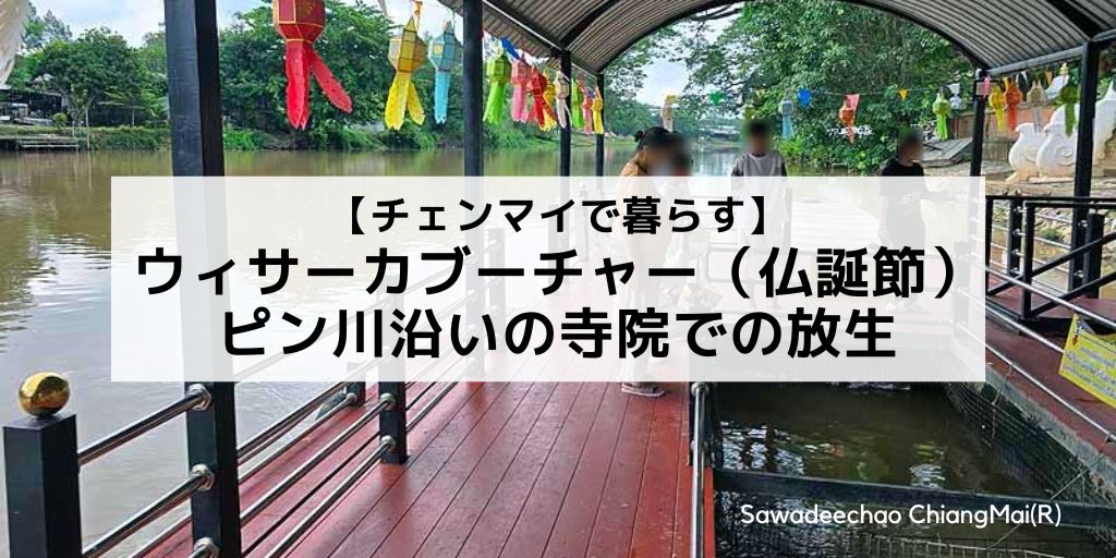 【チェンマイで暮らす】ウィサーカブーチャー(仏誕節)の朝はピン川沿いの寺院で魚を放生する